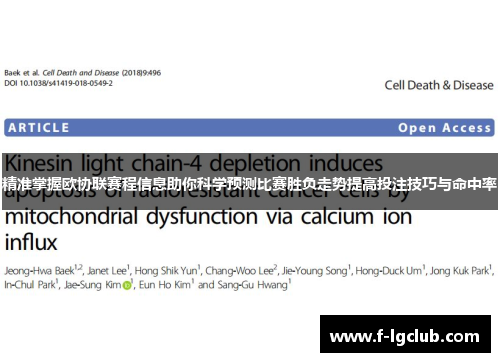 精准掌握欧协联赛程信息助你科学预测比赛胜负走势提高投注技巧与命中率