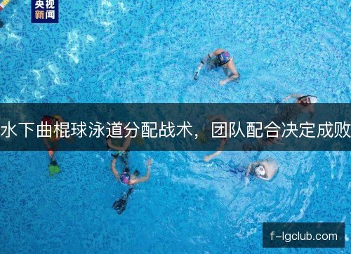 水下曲棍球泳道分配战术，团队配合决定成败